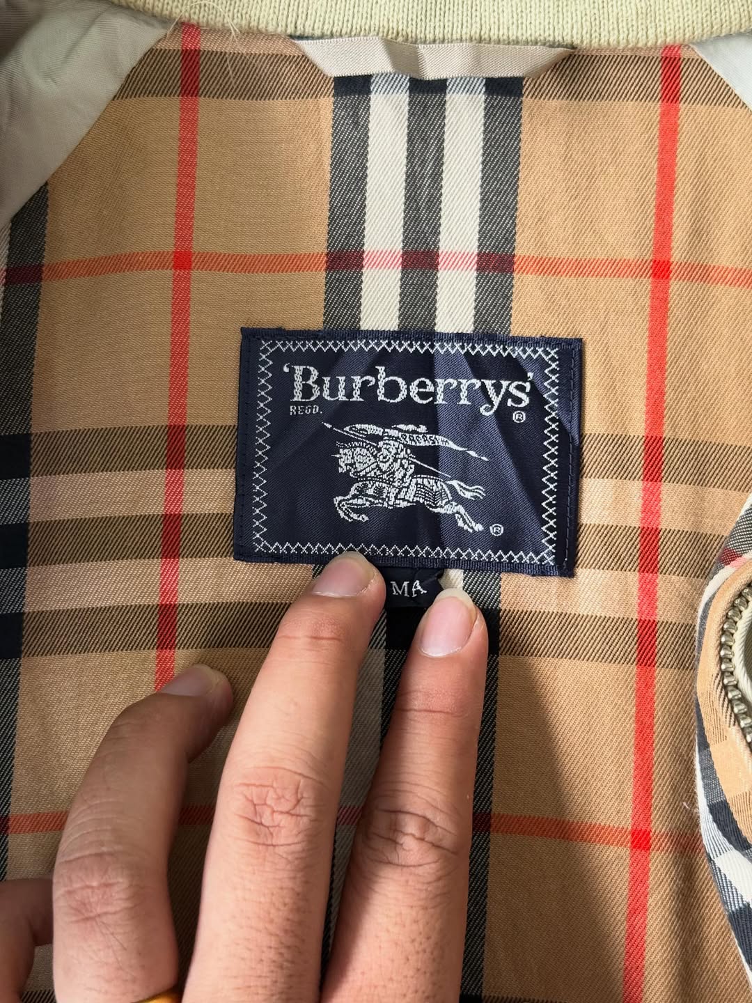 SaveClip.App_567734538_18052386644650127_8031688458566564483_n