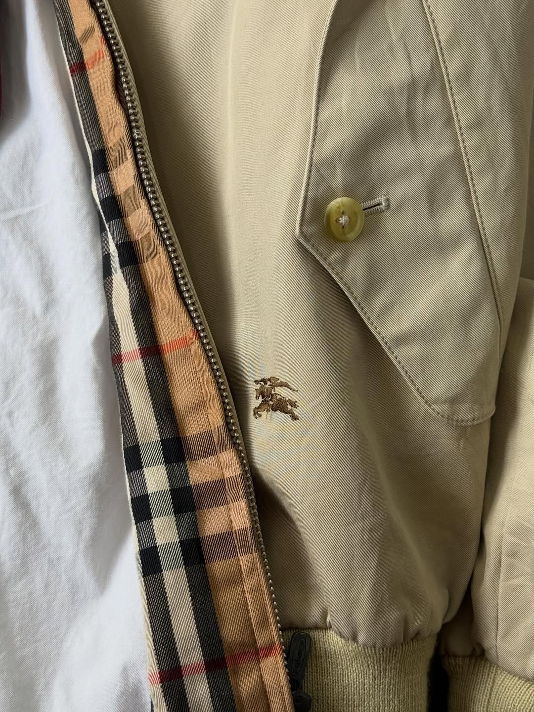 SaveClip.App_568036229_18052386611650127_6740485536124076131_n