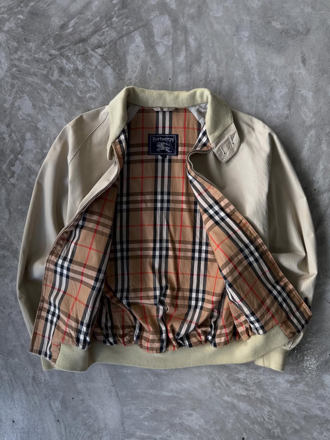 SaveClip.App_568834371_18052386635650127_2506377621098378499_n